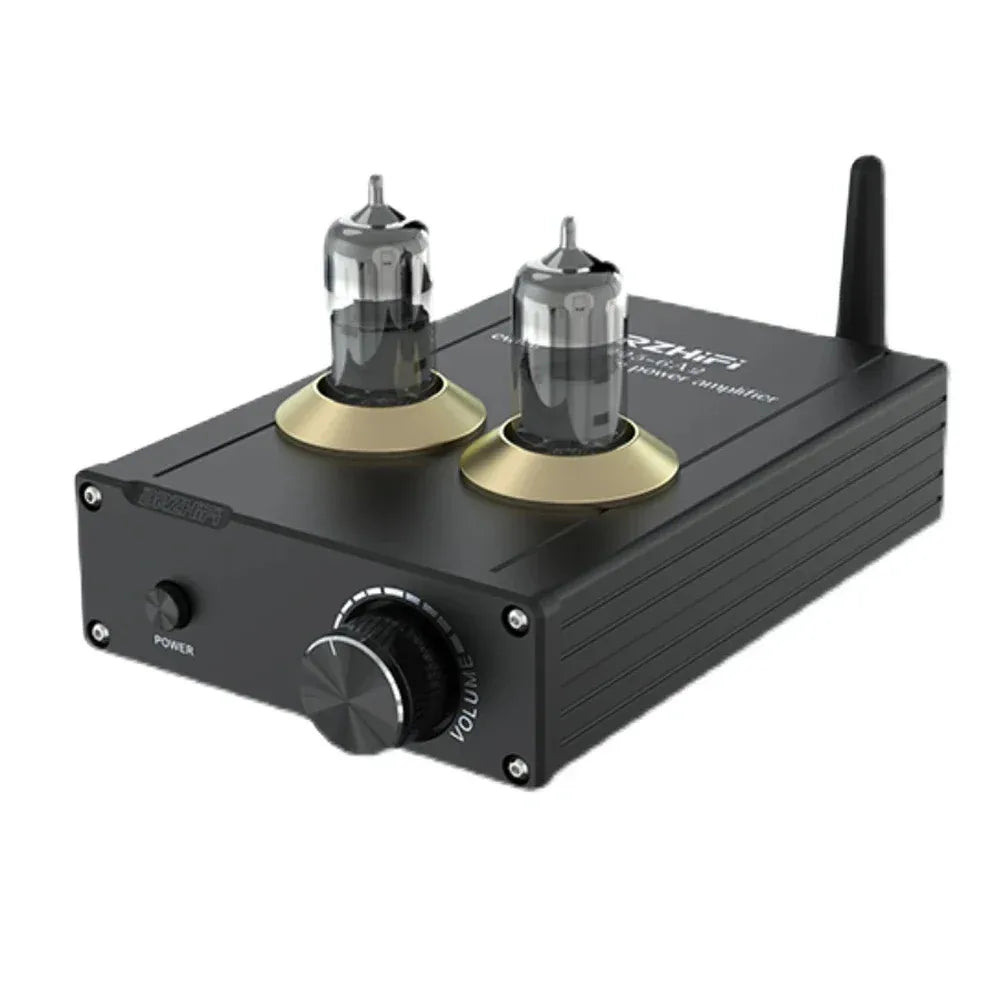 BRZHIFI Class D Amplifier PAD-6A2