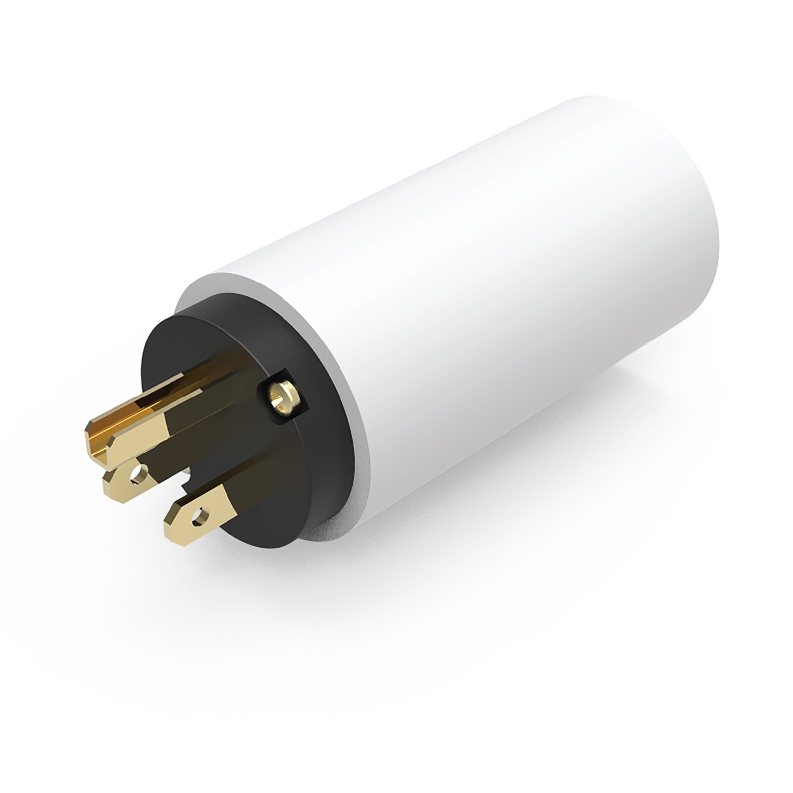 iFi Audio AC iPURIFIER - Audiophile AC Power Filter